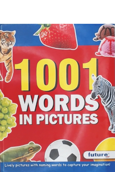 1001 WORDS IN PICTURES